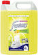Fantasy Professionell Geschirrspülmittel mit Duft Zitrone 1x4lt