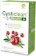 Cysticlean Cysticlean Prob 240 Mg Pac Probiotika Cranberry Kapseln 30 Stück