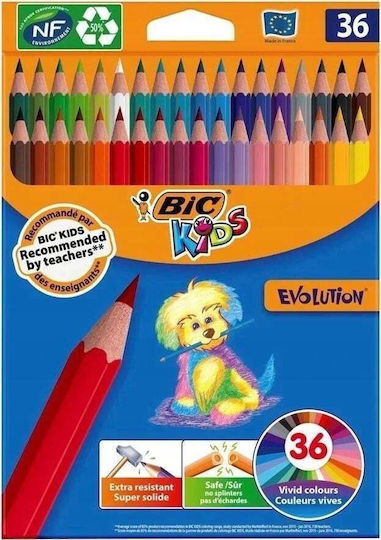 BIC Kids Evolution Ecolutions Set de creioane colorate în cutie 36buc Pachet de 1 ambalaje