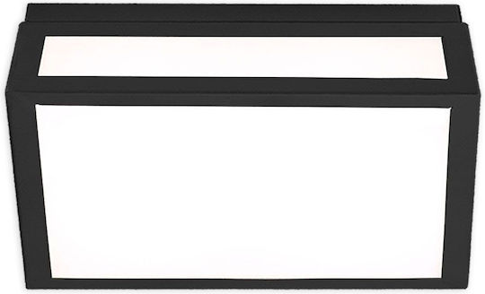 Luma Luminiță De Tavan Montată Pentru Baie 30cm Neagră Cu LED Integrat