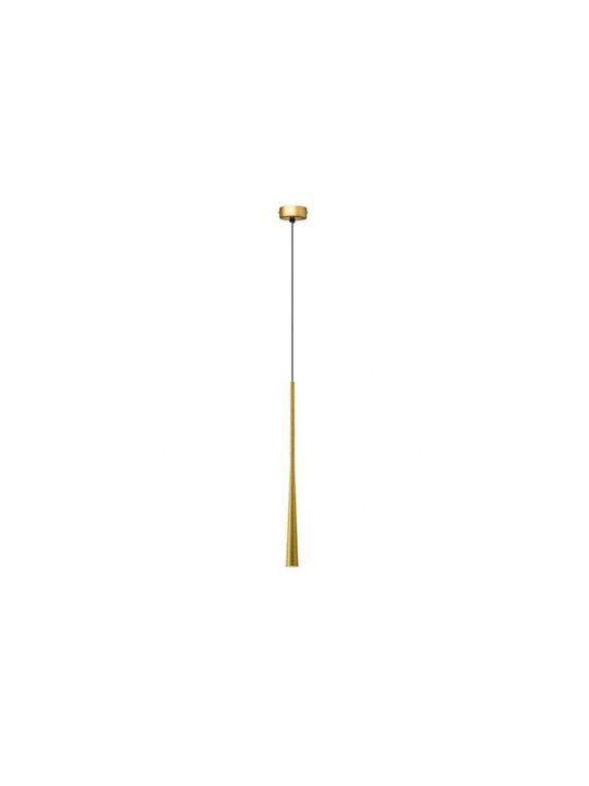 Luma Pendant Light for Socket G9 Gold