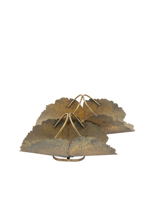 Zen Collection Set dekorative Platten Metallisch Gold 2Stück 63.5x26x27cm