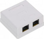 RJ45-2G1/6 Splitter 1pcs