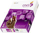 Matalon Druckpapier A3 160gr/m² 1x250 Blätter Weiß