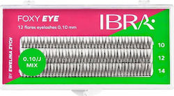 Ibra Foxy Eye Ibra Foxy Eye