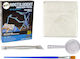 Lean Toys Educational Game Dinosaur Excavation for 3+ years Years Old