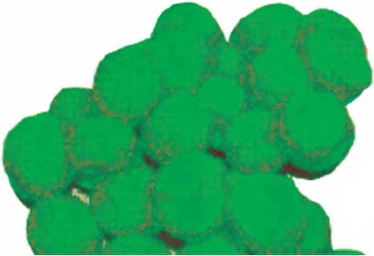 Next Pom Pom Craft Green Set of 100pcs