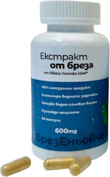 Extract de mesteacăn alb Biliana Yotovska Betula Pendula 600 mg 60 capsule Extract de mesteacăn alb Biliana Yotovska Betula Pendula 600 mg 60 capsule