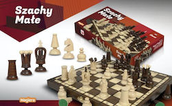 Schach / Schachbrett / Backgammon