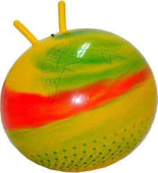 Hüpfer Ball 55cm