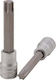Teng Tools Spritzfilter Wasserhahn Bit-Stecknuss mit Torx-Bit und Antriebsvierkant 1/2'' Größe T60x100mm 1Stück