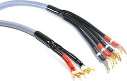 Melodika Speaker Cable Unterminated 6m