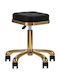 Stool For Living Room with Adjustable Height Gold Black