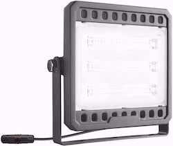 Lena Lighting Προβολέας 100W