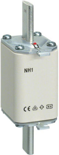 Eti-polam Safety Nh1 Gg 40A/500V 004184230