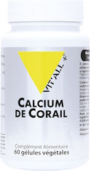 Vit'All+ Calcium de Coral 60 veg. caps