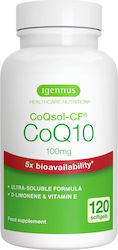 iGennus Coq10 120 Softgels