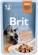 Brit Premium Wet Cat Food for Elderly Cats in Pouches with Turkey Gluten Free 85gr