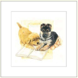 Da Vinci Pass Davinci Hunde + Umschlag G04 41g 057