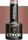 Activeshop Ημιμόνιμο Βερνίκι Νυχιών Brown 805 5gr
