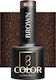 Activeshop Ημιμόνιμο Βερνίκι Νυχιών Brown 808 5gr