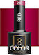 Activeshop Ημιμόνιμο Βερνίκι Νυχιών Pink 210 5gr