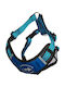 All For Dogs Σαμαράκι Σκύλου Γιλέκο Μπλε Small / X-Small / Medium / Large VAT011786