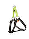 Dingo Hundegeschirr Rosa 70 VAT011140