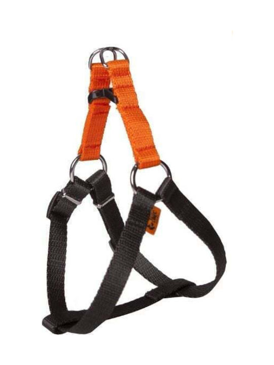 Dingo Orange Hundegeschirre