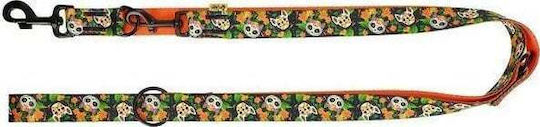 Dingo Dog Leash/Lead Strap in Orange color