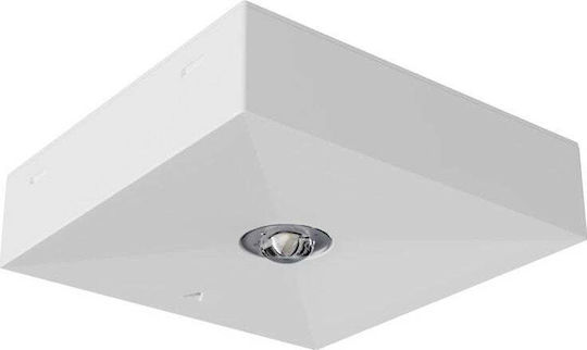 Awex LED Notausgangsleuchte 1Stück