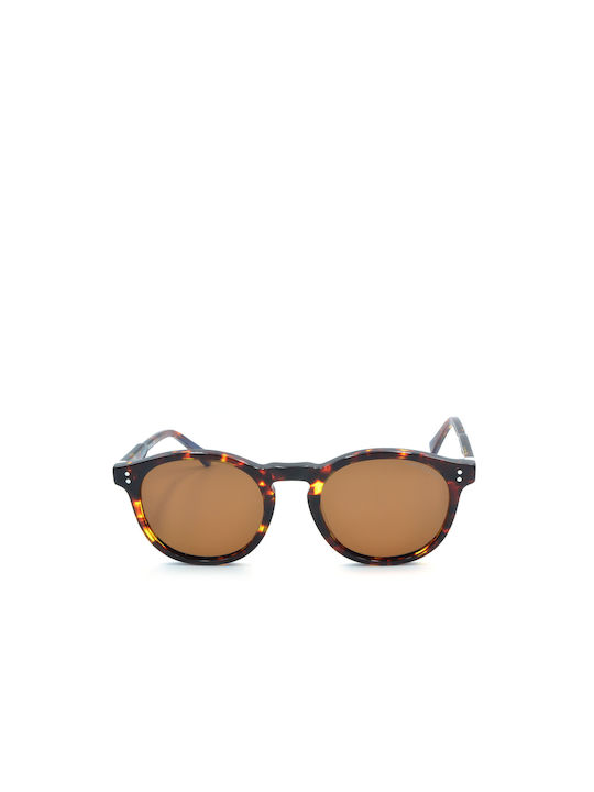 Funky Buddha Sunglasses with Brown Tartaruga Plastic Frame and Brown Polarized Lens FBS2045/009