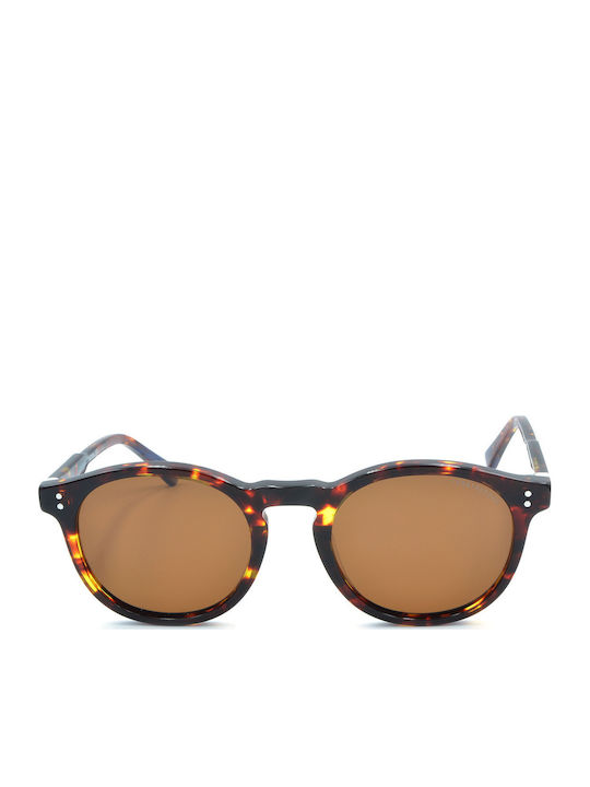 Funky Buddha Unisex Sunglasses with Brown Tartaruga Plastic Frame and Brown Polarized Lens FBS2045/009