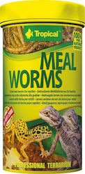 Tropical Meal Worms 250ml Contains