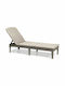 Șezlong Plastic cu Pernă Maro 187x58x29cm