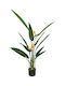 Plantă Artificială în Ghiveci Yellow 153cm Zen Collection