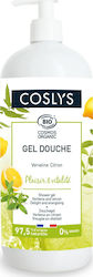 Coslys Plaisir & Vitalite Bubble Bath Gel with Aloe Vera and Citrus Scent 1000ml