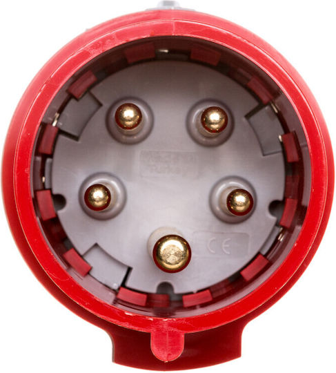 Legrand Industriesteckdose 555129