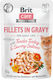 Brit Care Wet Food for Adult Cats in Pouches with Turkey and Salmon 85gr
