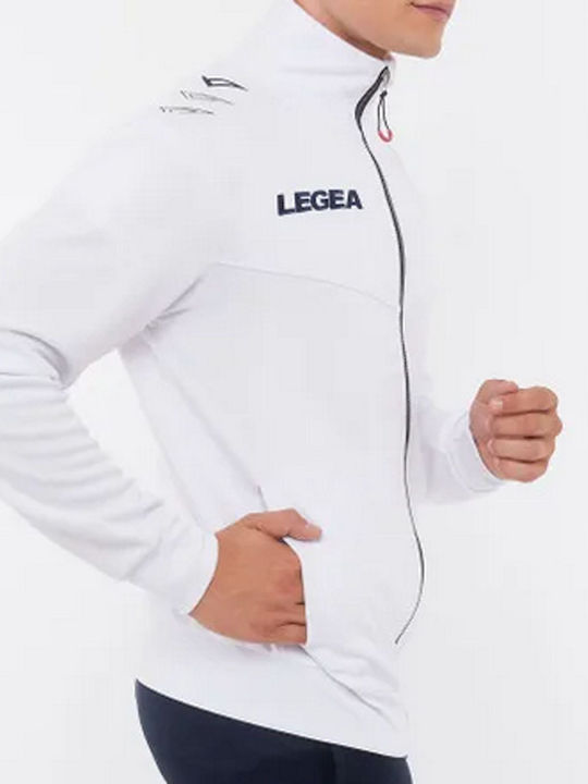 Legea
