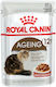 Royal Canin Ageing 12+ Wet Food for Senior Cat in Pouch 85gr 2610010