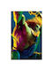 Αφίσες Poster Blanka Χαρτί 70x100cm