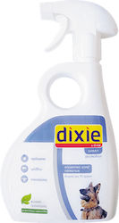 Dixie Spray Καλλυντικό 500ml