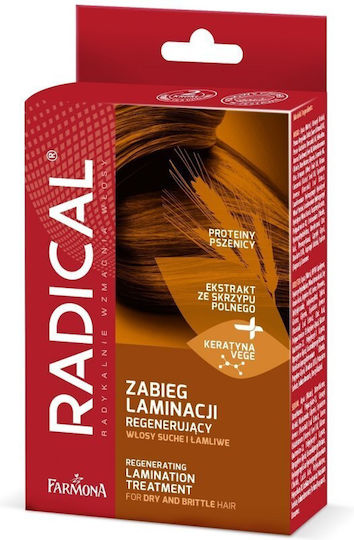 Farmona Σετ Θεραπείας για Ισιωμα για Ξηρά Μαλλιά με Σαμπουάν, Μάσκα & Λάδι 3τμχ