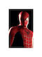 Walls Афиш Spider-man 40x50см