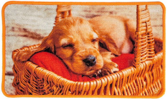 Sdim Entrance Mat Anti-slip Animal 003 Multicolour 75x44cm