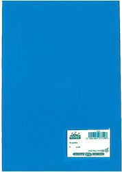 Skag 277204