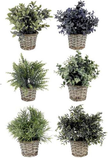 Artificial Plant in Small Pot 28cm (Various Designs) Koopman
