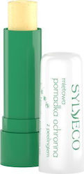 Sylveco Lip Scrub 4.6gr Sylveco Lip Scrub 4.6gr