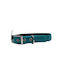 Pet Camelot Anatomical Blue Collar 25mmx55cm
